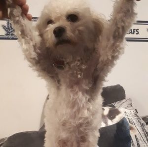 Meet your Posher, Derek